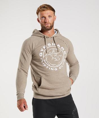 Sudadera Con Capucha Gymshark Legacy Hombre Gris | CO 3627MQZ